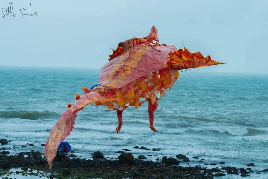 images/content-image/2024/1736912942.jpg