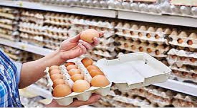 நாட்டில் முட்டை தட்டுப்பாட்டைச் சமாளிக்க ஒன்றிணைந்து செயல்படுங்கள்: அமைச்சகம்