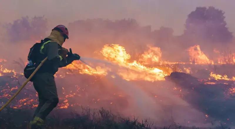 ஸ்பெயினில் காட்டுத் தீயில் 8,500 ஹெக்டேர் காட்டுத்தீயால் கடும் சேதம் என தகவல்