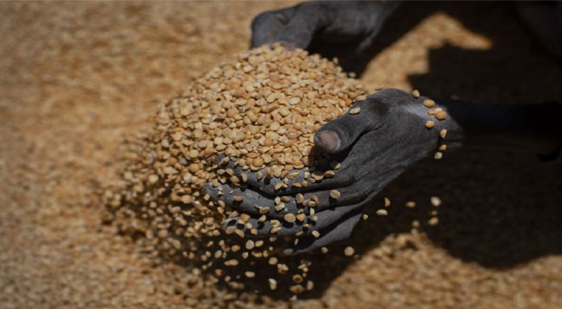 எத்தியோப்பியாவில் பட்டினியால் 700 பேர் உயிரிழப்பு!