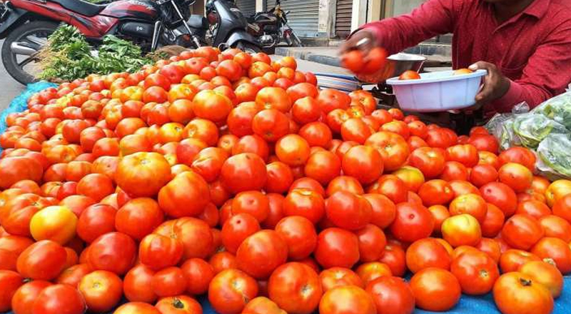 தக்காளி விலை உயர்வு தற்காலிகமானது என்று மத்திய நுகர்வோர் விவகாரத்துறை செயலாளர் ரோகித்குமார் சிங் தெரிவித்தார்.