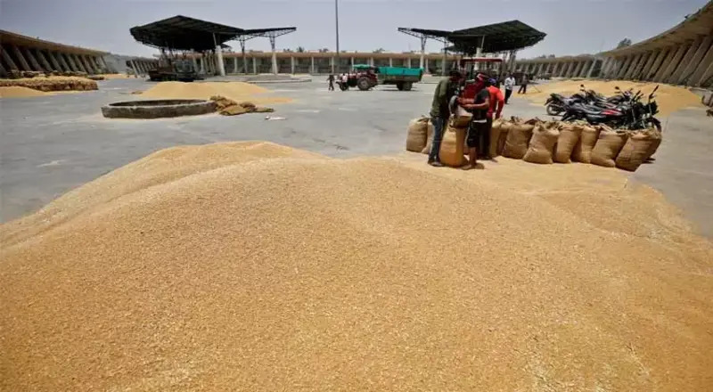 ஆப்கானிஸ்தானில் உணவு நெருக்கடியை போக்க 10 ஆயிரம் டன் கோதுமை வழங்கி இந்தியா உதவி