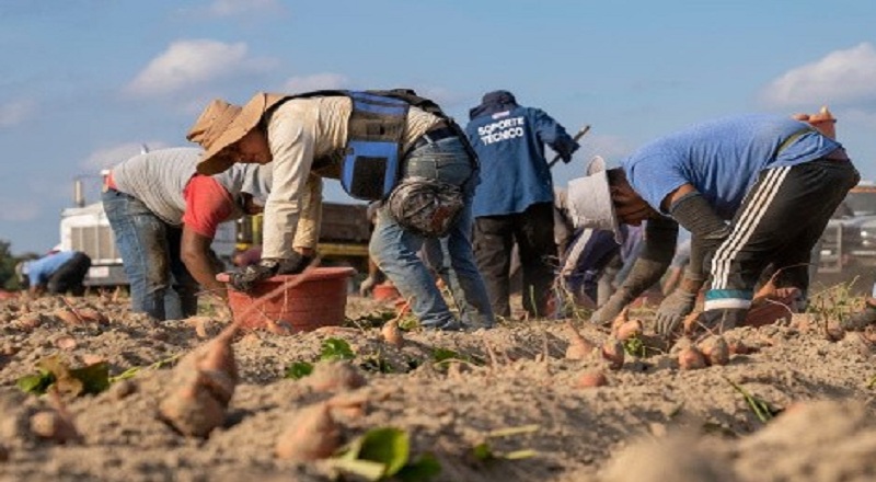 ரஷ்யாவில் அடிமைகளாக சிக்கியுள்ள பெருமளவான இலங்கையர்கள்!