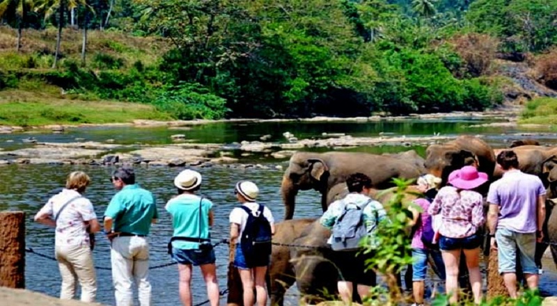 இந்த ஆண்டின் முதல் காலாண்டில் 07 இலட்சத்திற்கும் அதிகமானோர் இலங்கை வருகை!