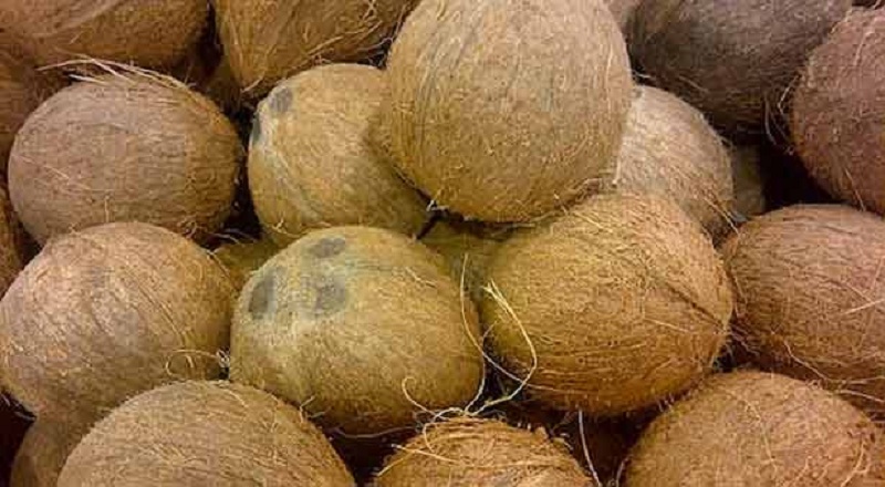 இலங்கையில் தேங்காய்க்கு தட்டுப்பாடு!