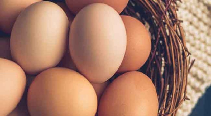 இறக்குமதி செய்யப்பட்ட முட்டைகளை பேக்கரிகளுக்கு வழங்க முடியாது!