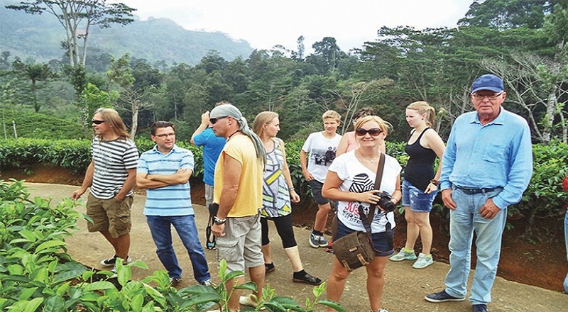 ஆகஸ்ட் மாதத்தின் முதல் ஆறுநாட்களில் இலங்கைக்கு படையெடுத்த சுற்றுலா பயணிகள்!