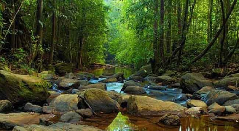 சிங்கராஜ வனப்பகுதியில் அத்துமீறிய செயல்களில் ஈடுபட்ட 03 ஈரானியர்களுக்கு நேர்த்த கதி!