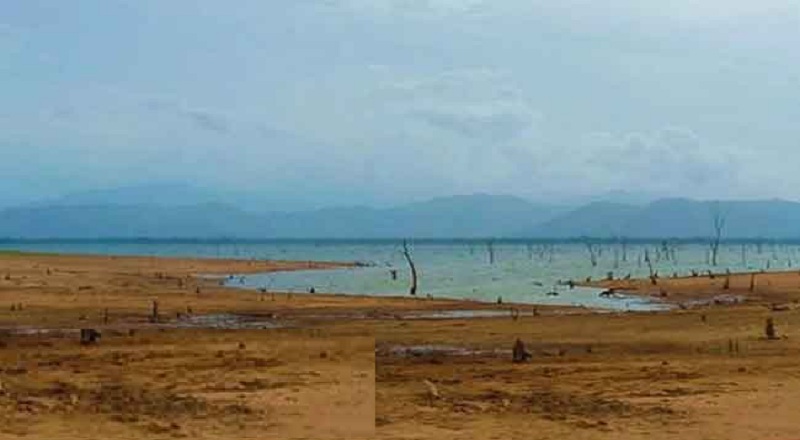 விளைநிலங்களுக்கு நீர் வழங்கப்படவில்லை எனக் குற்றச்சாட்டு!