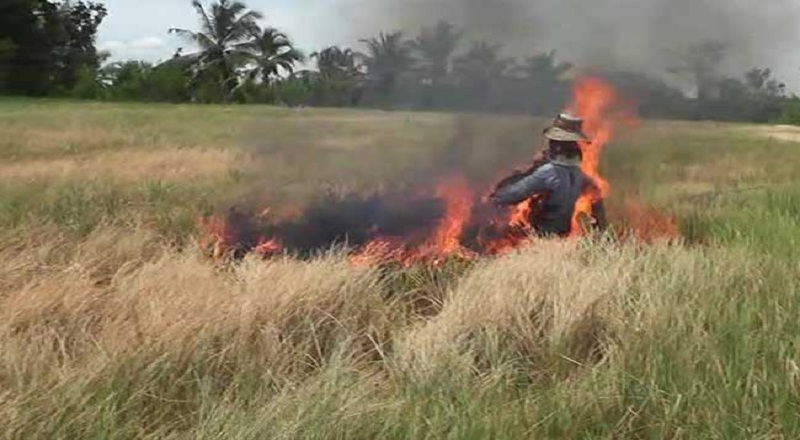 சேதமடைந்த பயிர்களுக்கு இழப்பீடு வழங்கப்படாது என அறிவிப்பு!