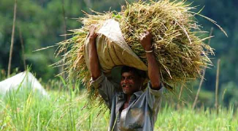 நெல் கொள்முதல் செய்வதற்கு போதிய நிதி கிடைத்துள்ளது!