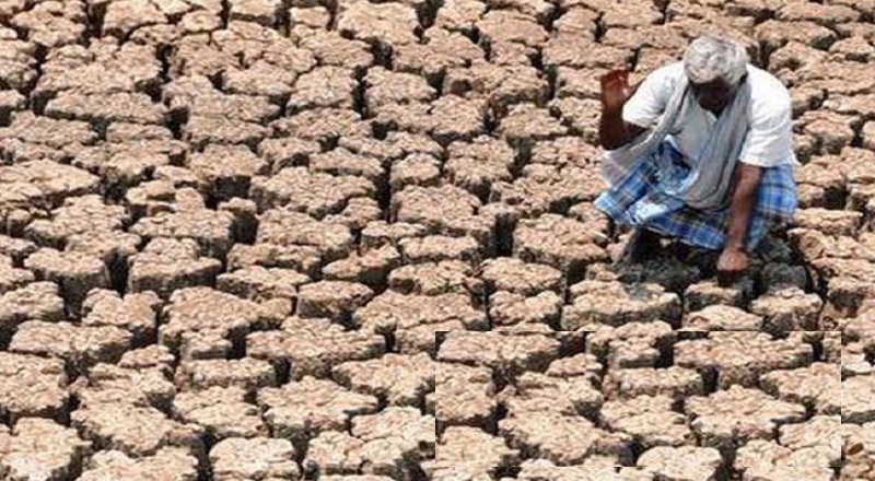 வறட்சியால் அழிவடைந்த நெற்செய்கைகளின் எண்ணிக்கை 46 ஆயிரம் ஏக்கரை தாண்டியுள்ளது!