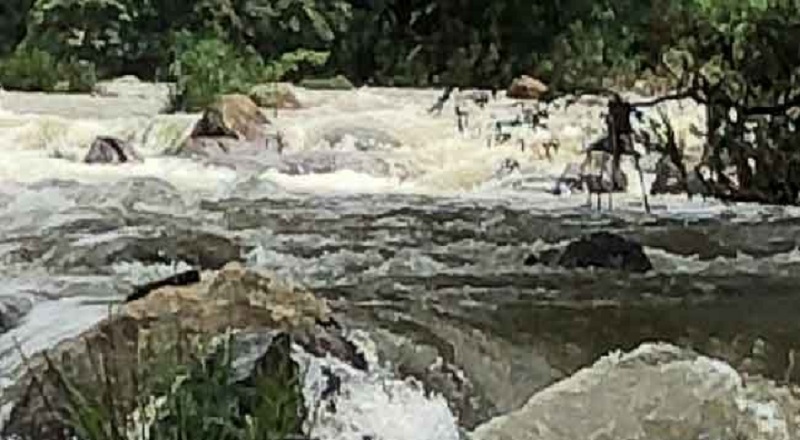 கலஹா தெல்தோட்டை பிரதேசத்தில் பாடசாலை மாணவர் ஒருவர் மாயம்!