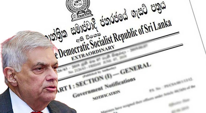 இடைக்கால கிரிகெட் குழுவை நியமிப்பது தொடர்பில் ஆராய உபக்குழு நியமனம்!