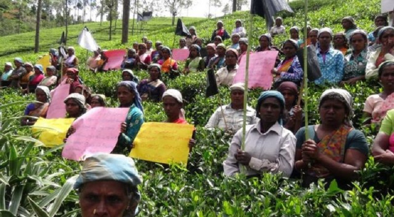 காற்றில் பறக்கவிடப்பட்ட வாக்குறுதிகள் : கேள்விக்குறியாகும் பெருந்தோட்ட மக்களின் வாழ்க்கை!