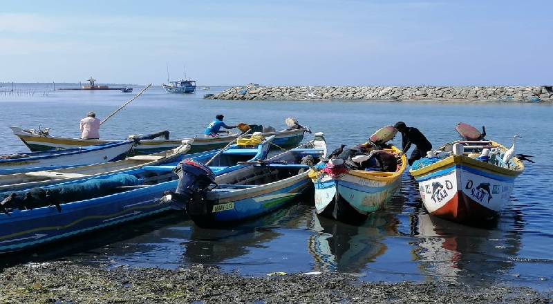 வடக்கில் கடற்தொழிலை விருத்தி செய்ய நிதி ஒதுக்கீடு!