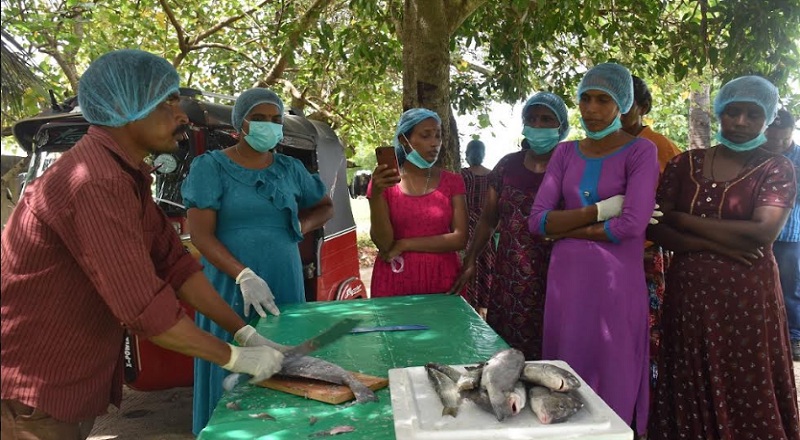 கிளிநொச்சியில் பெண்களின் வாழ்வாதாரத்தை மேம்படுத்தும் நோக்கில் மீனை பதப்படுத்தும் பயிற்சி!