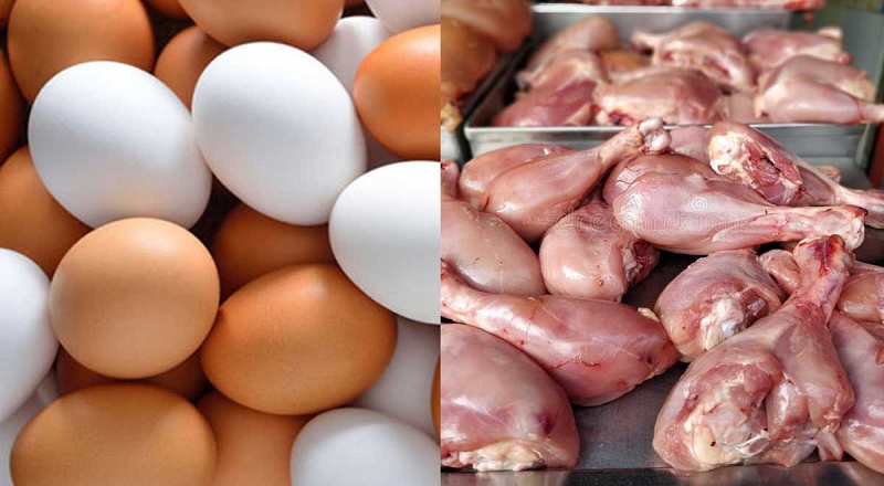 கோழி இறைச்சி மற்றும் முட்டையின் விலையில் மாற்றம்!