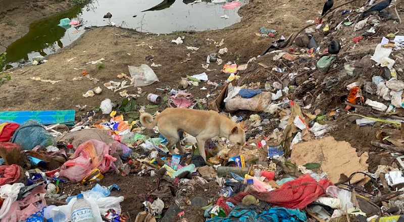 மன்னாரில் சுகாதார சீர்கேடு நடவடிக்கைகள் அதிகரிப்பு : மக்கள் விசனம்!