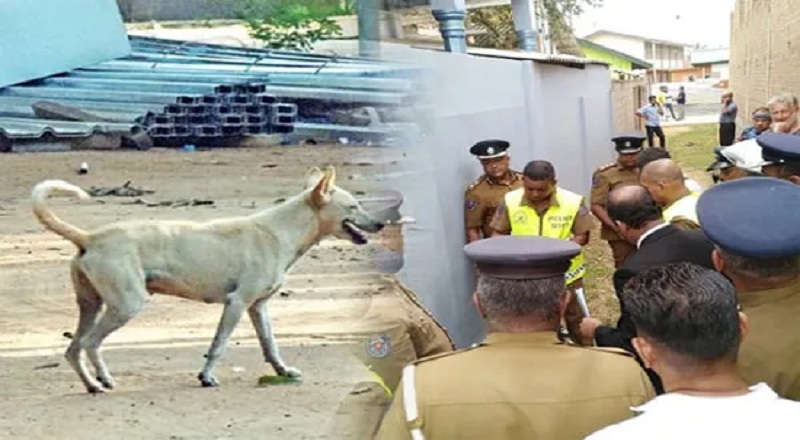 புத்தளத்தில்  நாயை காப்பாற்றும் முயற்சியில் நபர் ஒருவர் உயிரிழப்பு!