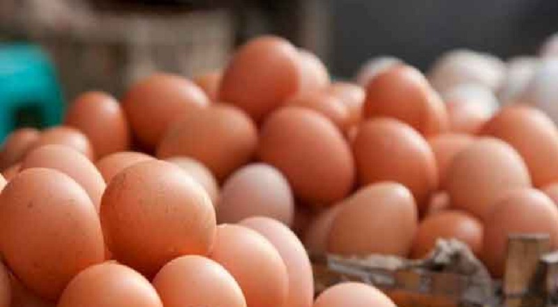 உள்ளுர் முட்டைகளின் விலையில் ஏற்பட்டுள்ள மாற்றம்!