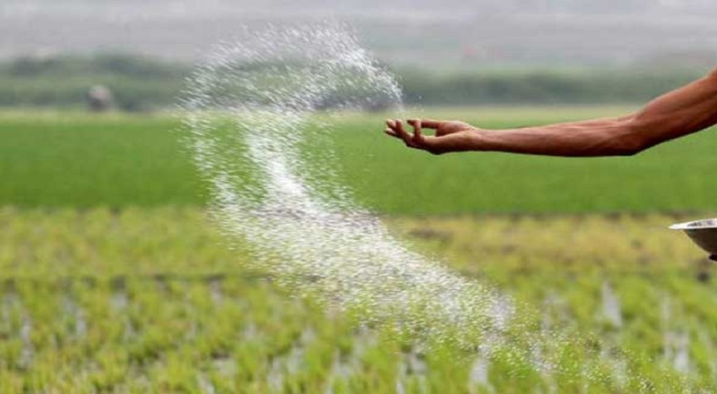 நெல் விவசாயிகளுக்கு உரமானியம் வழங்குவது தொடர்பில் வெளியான தகவல்!