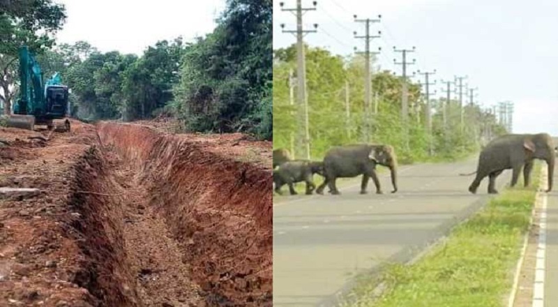 யானை அகழிகளின் தற்போதைய நிலை குறித்து முழுமையான அறிக்கையை சமர்பிக்குமாறு உத்தரவு!