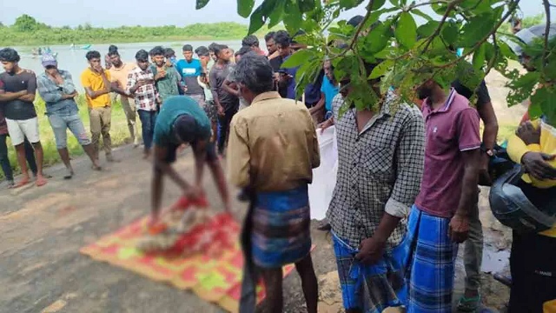 வாழைச்சேனையில் முதலையால் இழுத்துச் செல்லப்பட்ட நபர் சடலமாக மீட்பு