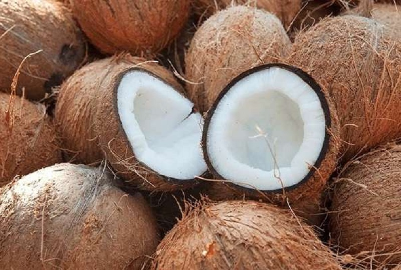 இலங்கையில் தேங்காய் விலை மீண்டும் அதிகரிப்பு!