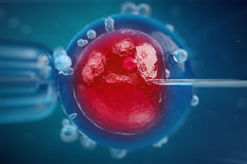 ஒரே விந்தணுவில் பிறந்த 67 குழந்தைகளில் 10 பேருக்கு புற்றுநோய்