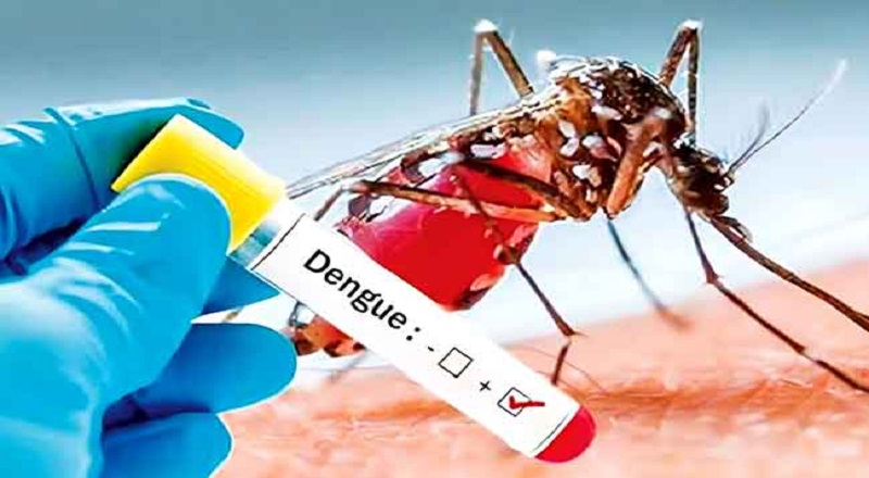 பள்ளிகளில் டெங்கு மற்றும் சிக்குன்குனியாவை தடுப்பதற்கான சிறப்பு ஆலோசனை!