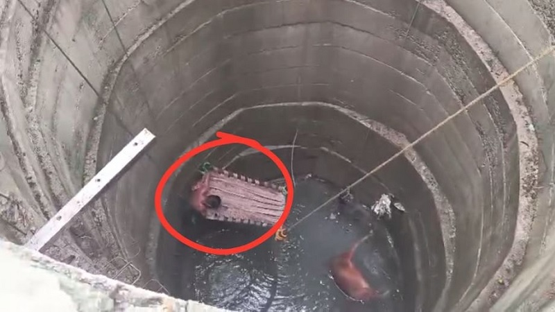 மத்தியப் பிரதேசத்தில் கிணற்றில் விழுந்த கன்றுக்குட்டி காப்பாற்ற சென்ற 5 பேர் மரணம்