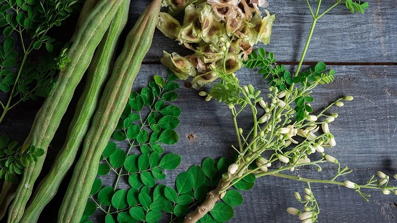 முருங்கைகீரையின் பக்குவமான 12 மருத்துவ குறிப்புகள்