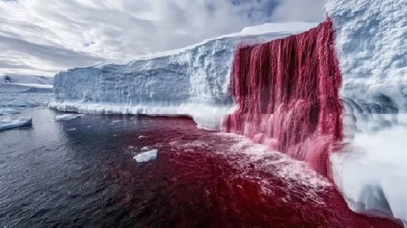 அண்டார்டிகாவில் உள்ள இரத்த நீர்வீழ்ச்சி (Blood falls)