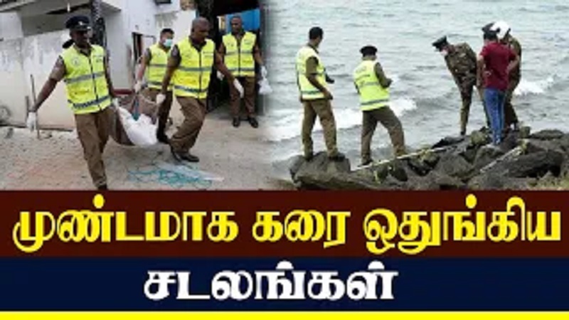 முண்டமாக கரை ஒதுங்கிய சடலங்கள் (வீடியோ இணைப்பு)