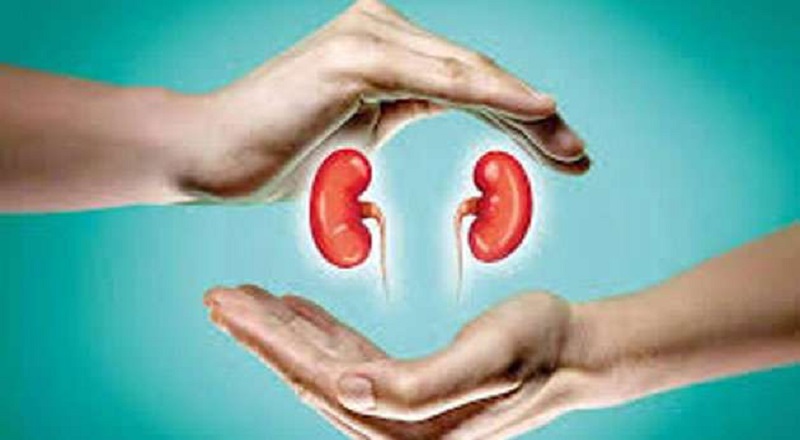 ஒவ்வொரு ஆண்டும் சிறுநீரக நோய்களால் சுமார் 1,600 பேர் உயிரிழப்பு!