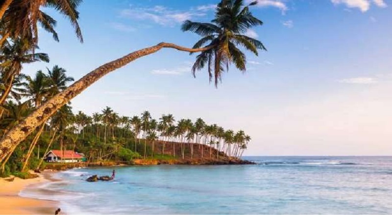 உலகளாவிய டைம் அவுட் பயண வழிகாட்டியில் முதலிடம் பிடித்த இலங்கை!