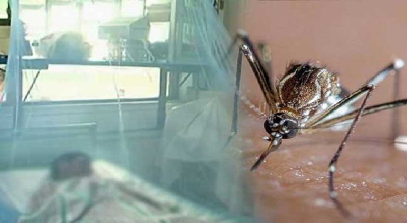 நாட்டில் அதிகரித்து வரும் மலேரியா தொற்று - 35 பேர் பாதிப்பு!