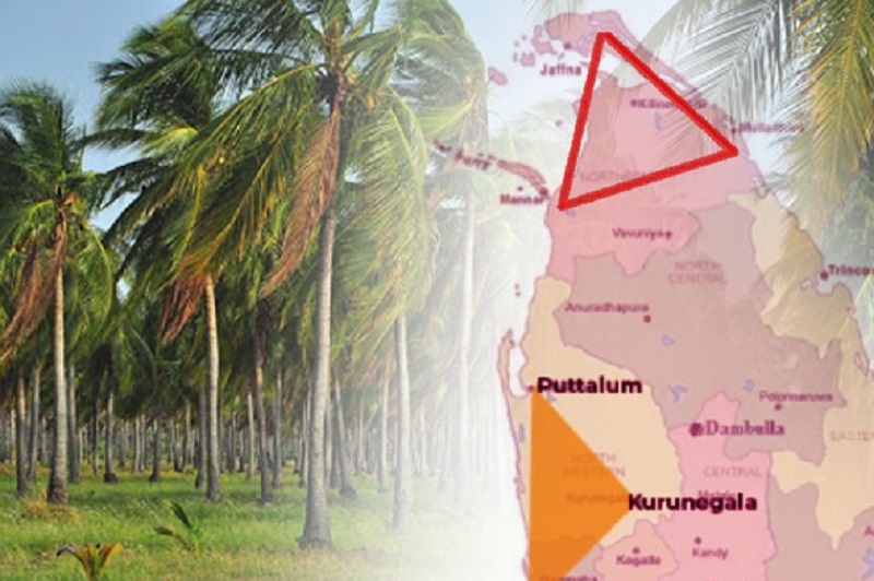 வடக்கு தென்னை முக்கோண வலய விவசாயிகளுக்கு மானியம் வழங்க தீர்மானம்!