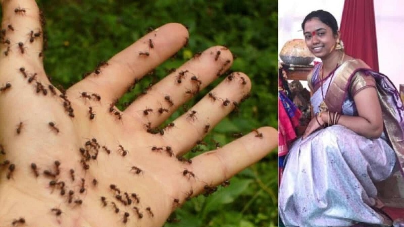 இந்தியாவில் எறும்புகளுக்கு பயந்து தற்கொலை செய்து கொண்ட 25 வயது பெண்