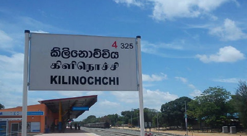 கிளிநொச்சியில் கரைச்சி பிரதேச சபைக்கு உட்பட்ட பகுதியில் பரவியுள்ள விஷ செடிகளை அகற்ற அழைப்பு!