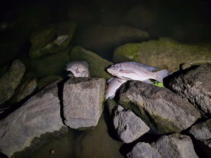 வவுனியா மக்களுக்கான அவசர எச்சரிக்கை! தெற்கு தமிழ் பிரதேசசபை தவிசாளர்