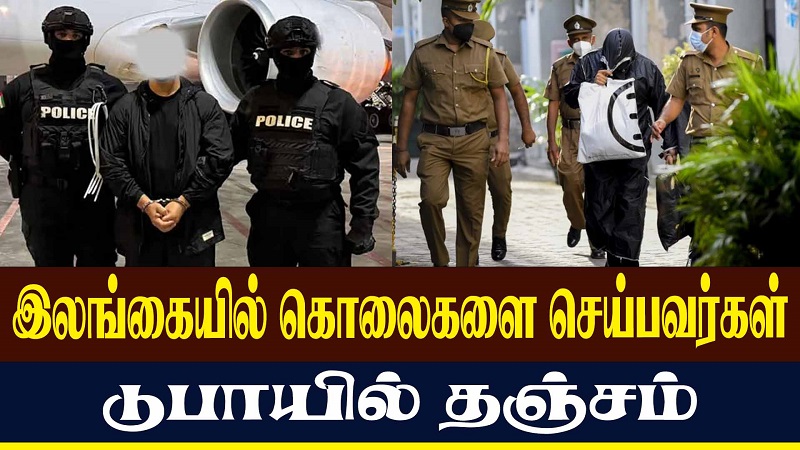 இலங்கையில் கொலைகளை செய்பவர்கள் துபாயில் தஞ்சம்!  (வீடியோ இணைப்பு )