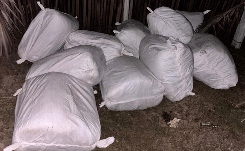 கடலோர காவல்படையினரின் சிறப்பு நடவடிக்கையில் 1531 கிலோ பீடி இலைகள் பறிமுதல்