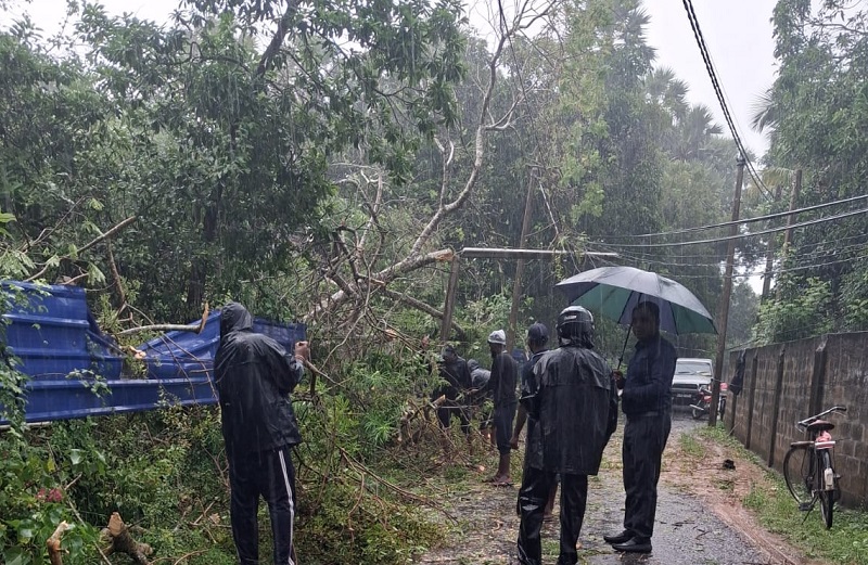 யாழில் சீரற்ற காலநிலையால் முறிந்து விழுந்த மரம்: போக்குவரத்து பாதிப்பு