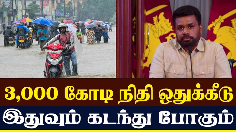 3,000 கோடி நிதி ஒதுக்கீடு இதுவும் கடந்து போகும் - ஜனாதிபதியின் விசேட உரை (வீடியோ இணைப்பு)