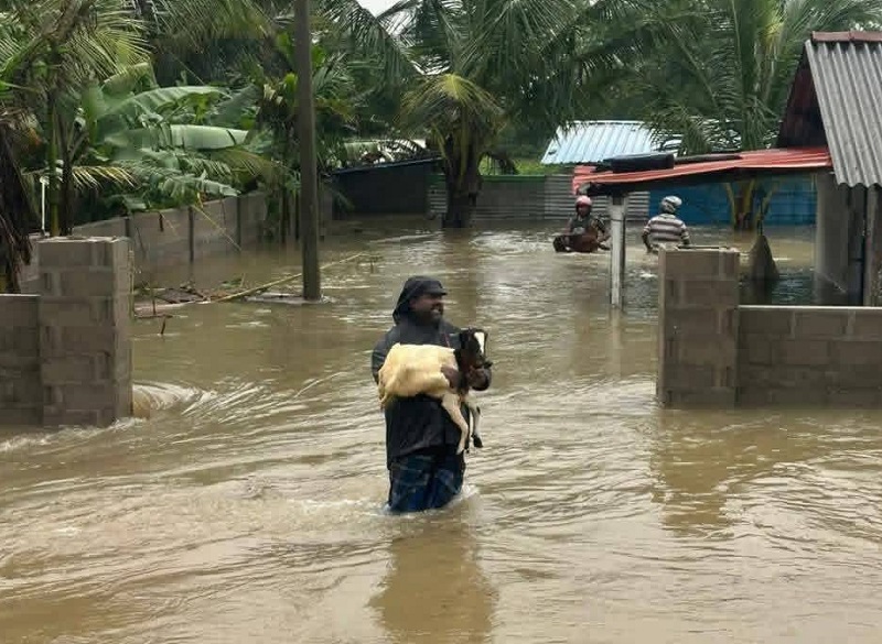நாற்பது வருடங்களுக்குப் பின் வரலாறு காணாத வெள்ளப் பாதிப்பை எதிர்கொண்டுள்ள மன்னார்!