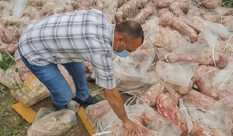 நுகர்வுக்கு பொருத்தமற்ற 12,000 கிலோ இறைச்சிக்கு சீல்!