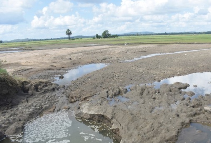 திருகோணமலையில் 8000இற்கும் மேற்பட்ட ஏக்கர் வயல் நிலங்கள் முற்றாகச் சேதம்!