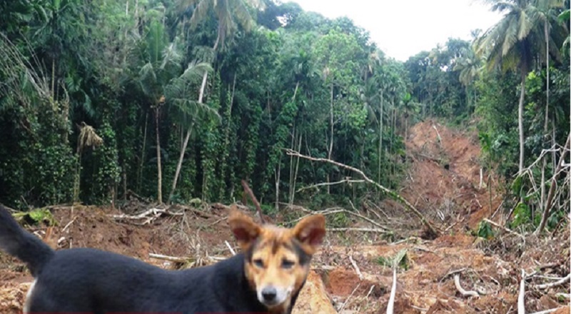 மாத்தளையில்  அச்சுறுத்தலாக உள்ள மலைத்தொடர் - மக்கள் விடுத்துள்ள கோரிக்கை!